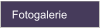 Fotogalerie
