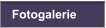 Fotogalerie